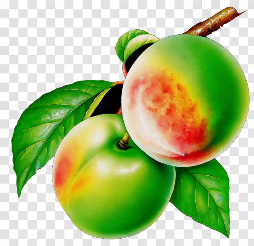 European Plum Fruit Peach Plant Food Transparent PNG