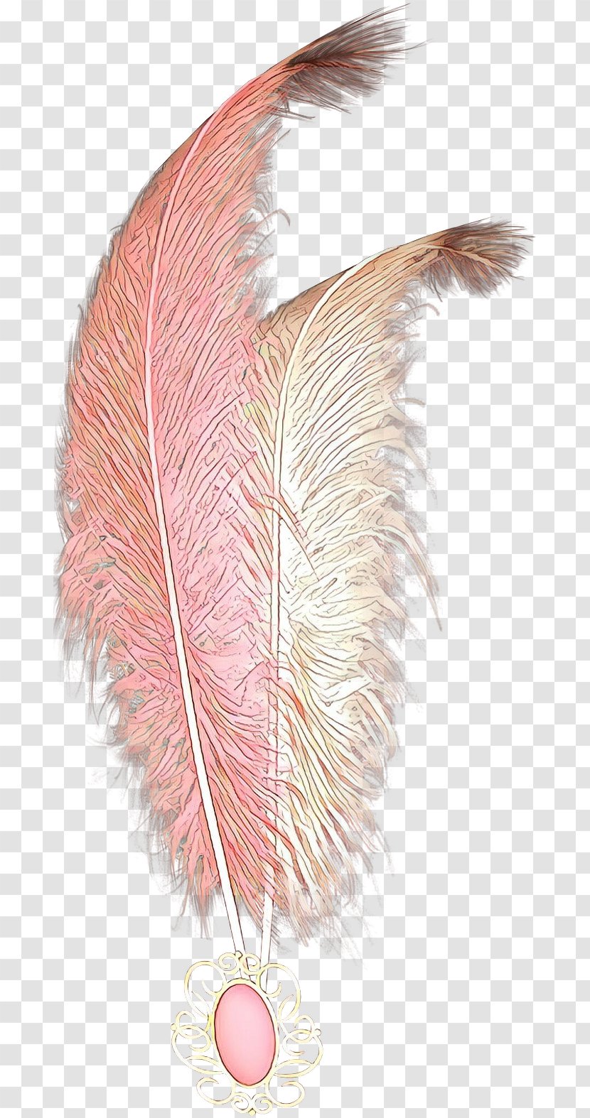 Feather - Natural Material - Tail Transparent PNG