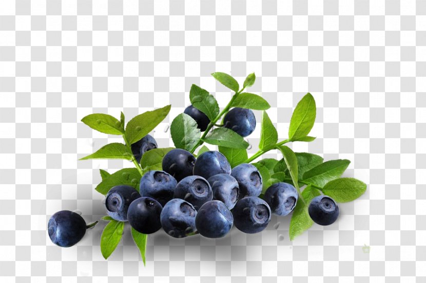Dietary Supplement Eye Zeaxanthin Lutein Antioxidant - Berry - Blueberry Transparent PNG