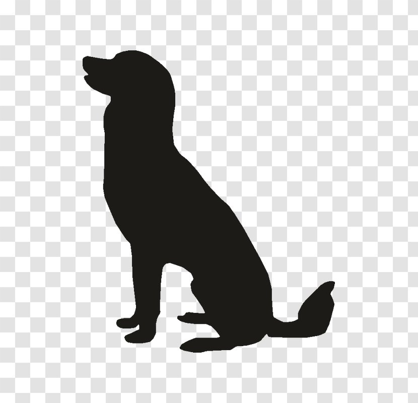 Pet Sitting Labrador Retriever Puppy Golden Beagle - Dog Transparent PNG