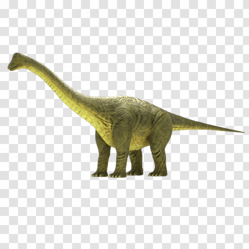Brontosaurus Apatosaurus Brachiosaurus Camarasaurus Animated Film - Dinosaur Transparent PNG