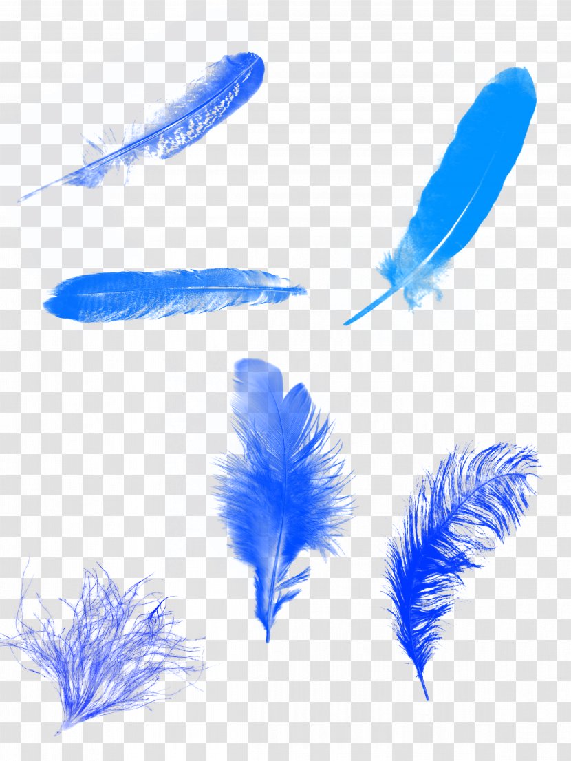 Feather Blue Euclidean Vector Computer File - Gratis - Background Transparent PNG