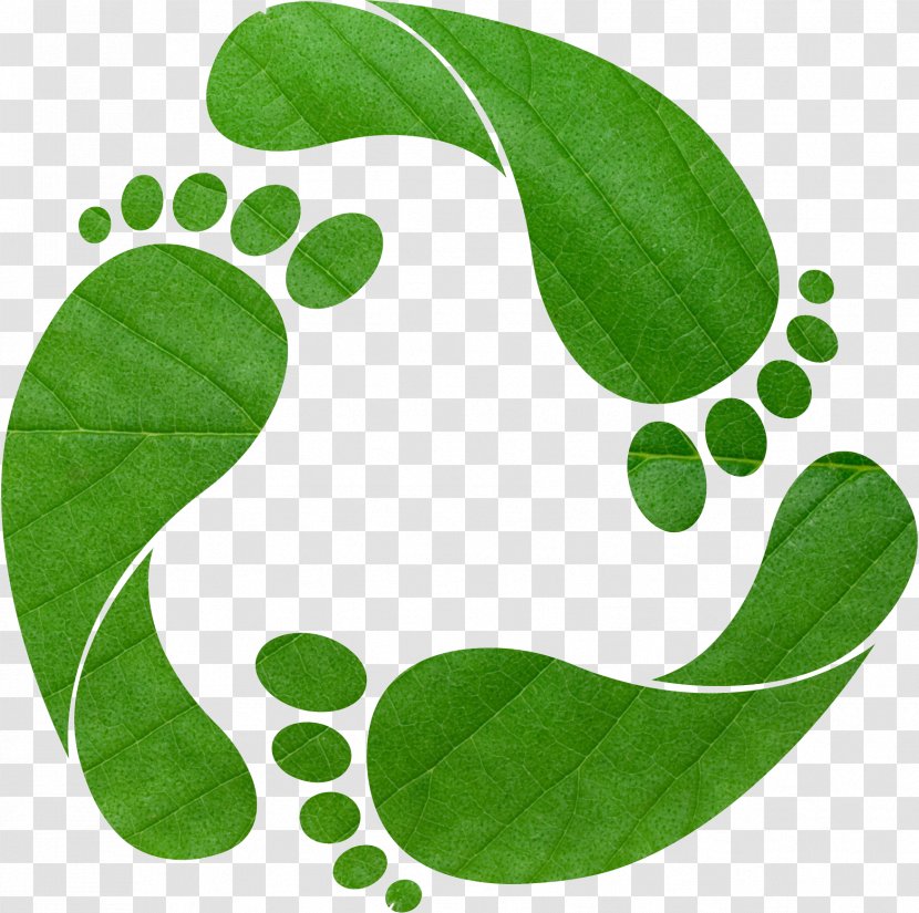 Earth Overshoot Day Ecological Footprint Carbon Ecology Clip Art - Ecosystem Services - Footprints Transparent PNG