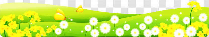 Dandelion Transparent PNG