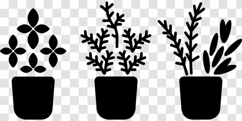 Plant Stem Flowering Leaf Font - Organism - Tree Transparent PNG
