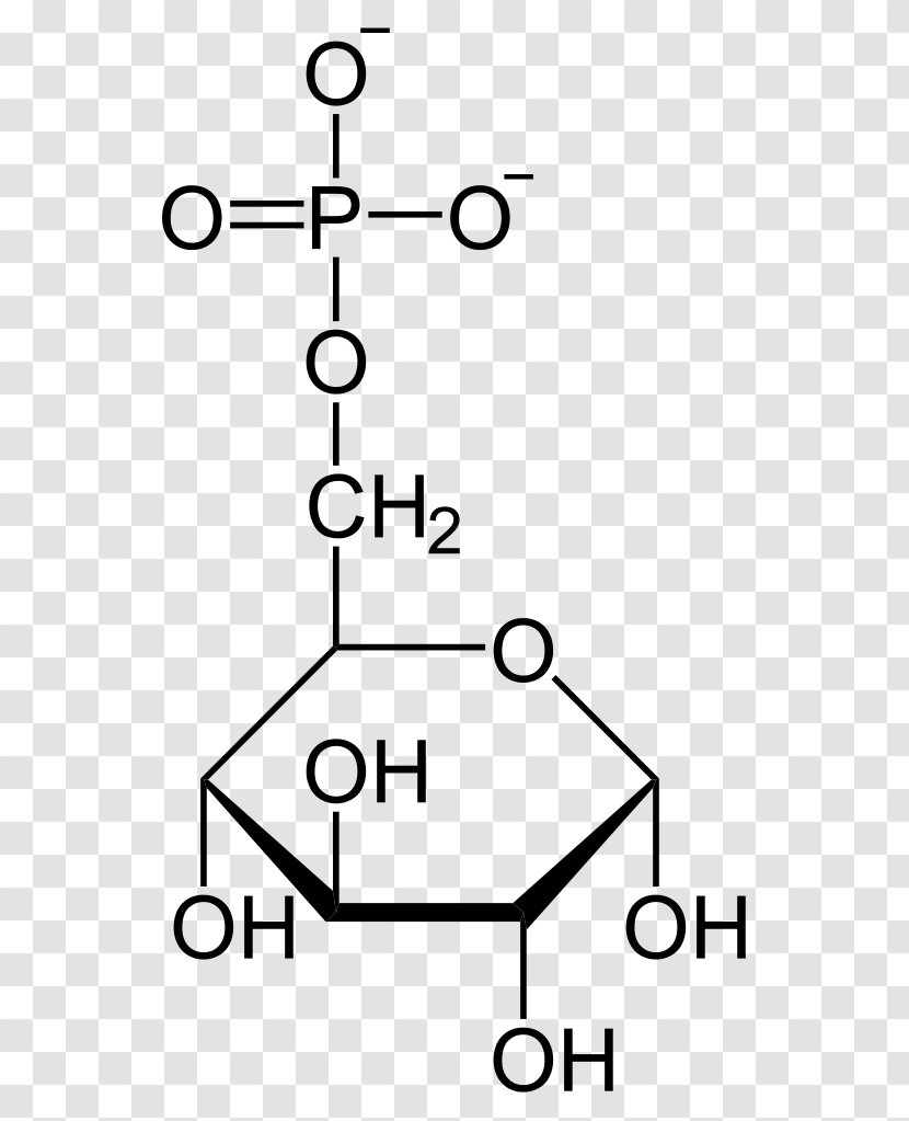 Glucose Molecule Organic Compound Chemistry Fructose - Amylose Transparent PNG