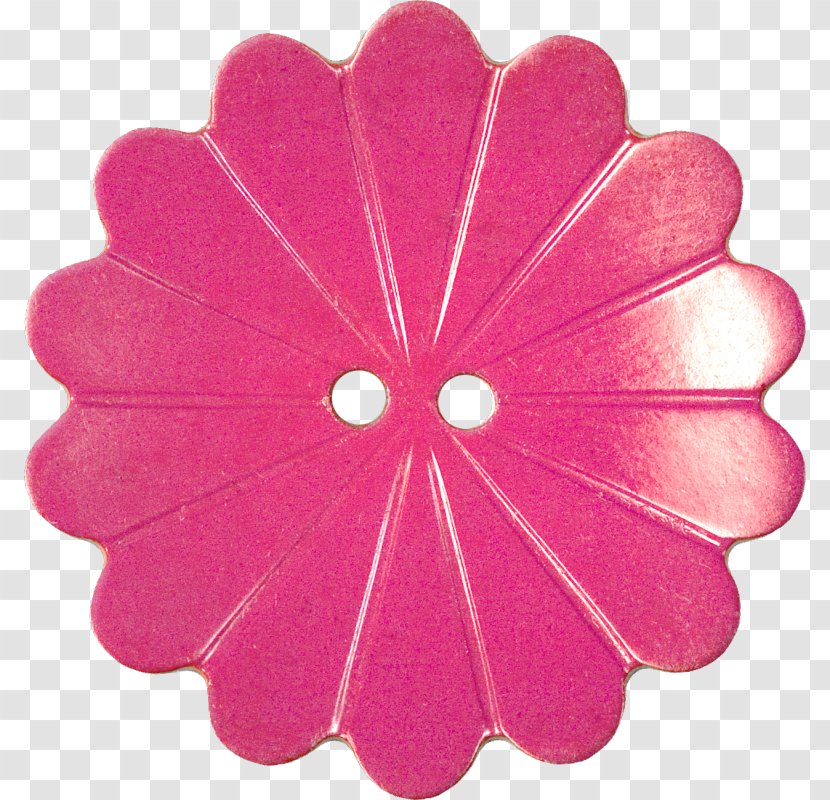 Petal Pink Confetti Yellow Magenta Transparent PNG