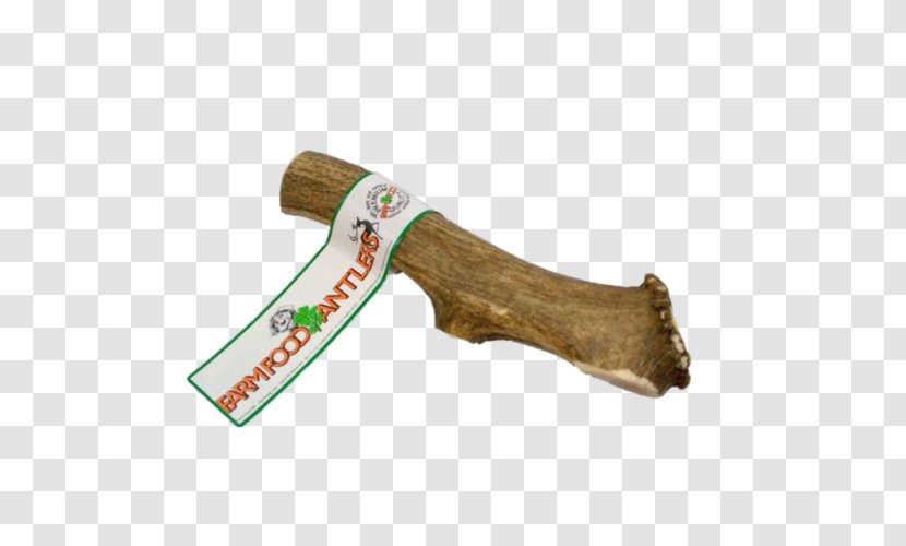 Dog Antler Red Deer Food - Tool Transparent PNG