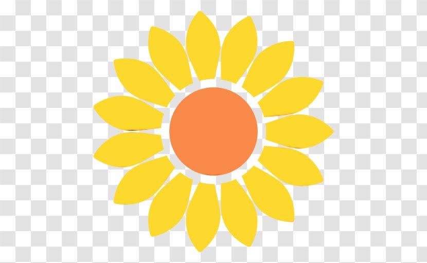 Sunflower - Flower - Daisy Family Plant Transparent PNG