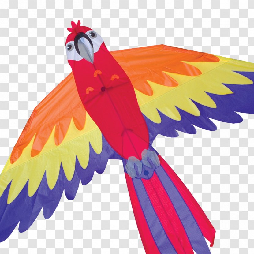 Parrot Bird Macaw Kite Line - Perroquet Transparent PNG
