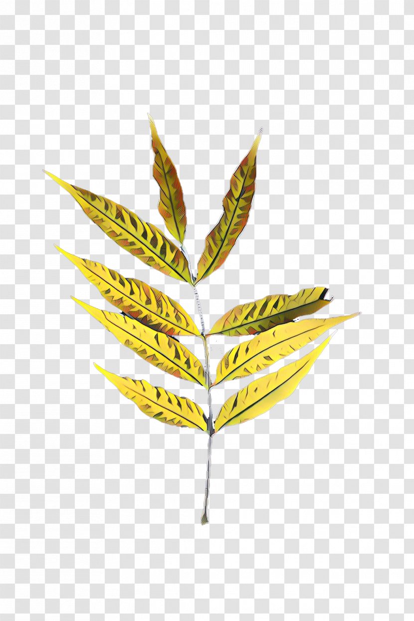Twig Plant Stem Leaf Plants - Sumac Moulu Transparent PNG