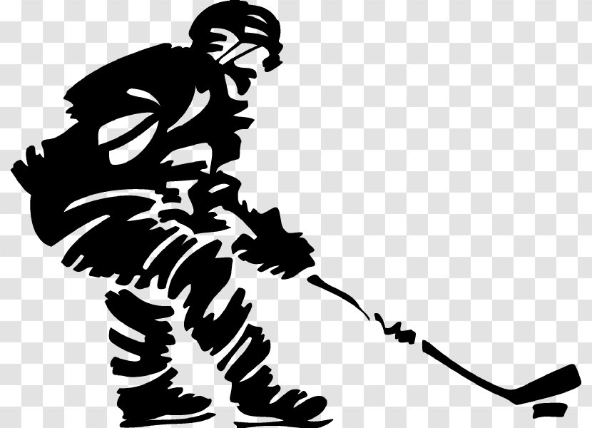 Fraser Hockeyland Notre Dame Fighting Irish Men's Ice Hockey Detroit Dragons Rink - Sports Equipment - Hokey Transparent PNG