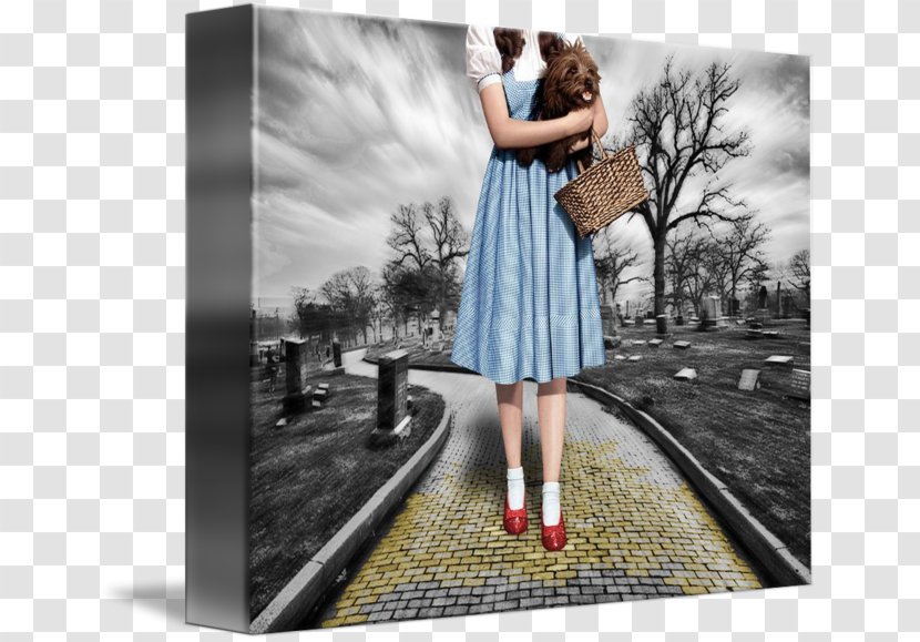 Dorothy Gale The Wizard Of Oz Ruby Slippers - Frame Transparent PNG