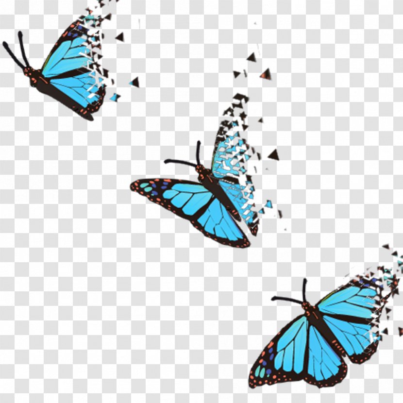 Butterfly Clip Art - Point Transparent PNG
