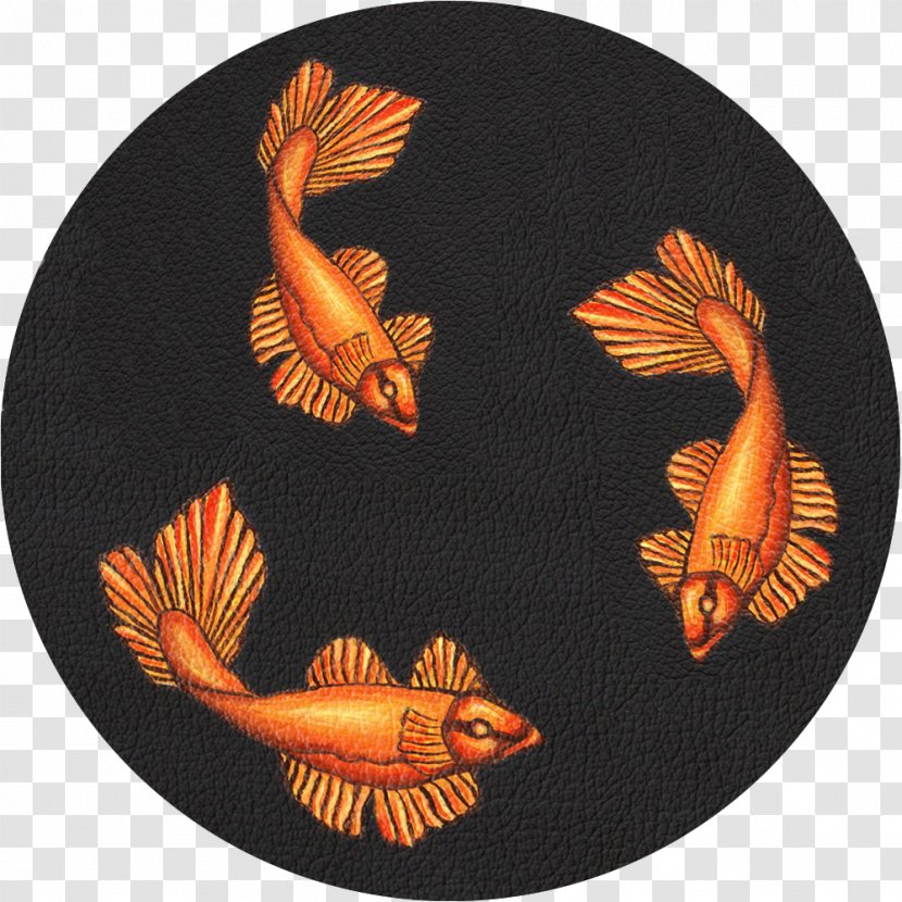 Fauna Fish - Organism - Orange Koi Transparent PNG