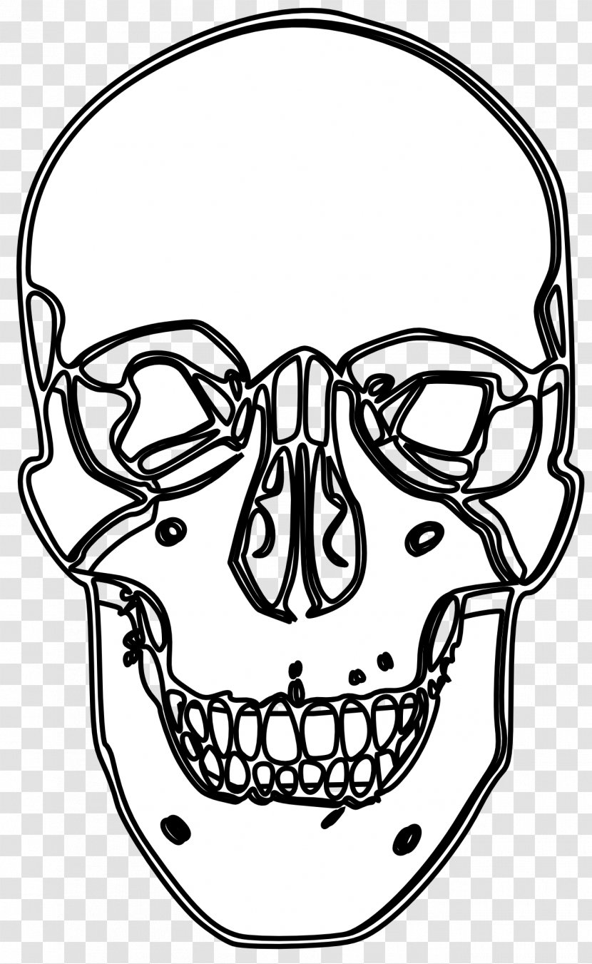 Black And White Calavera Visual Arts Line Art Clip - Face - Skull Transparent PNG
