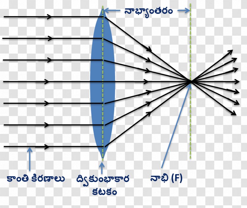 Light Refraction Lens Convex Ray - Diagram Transparent PNG
