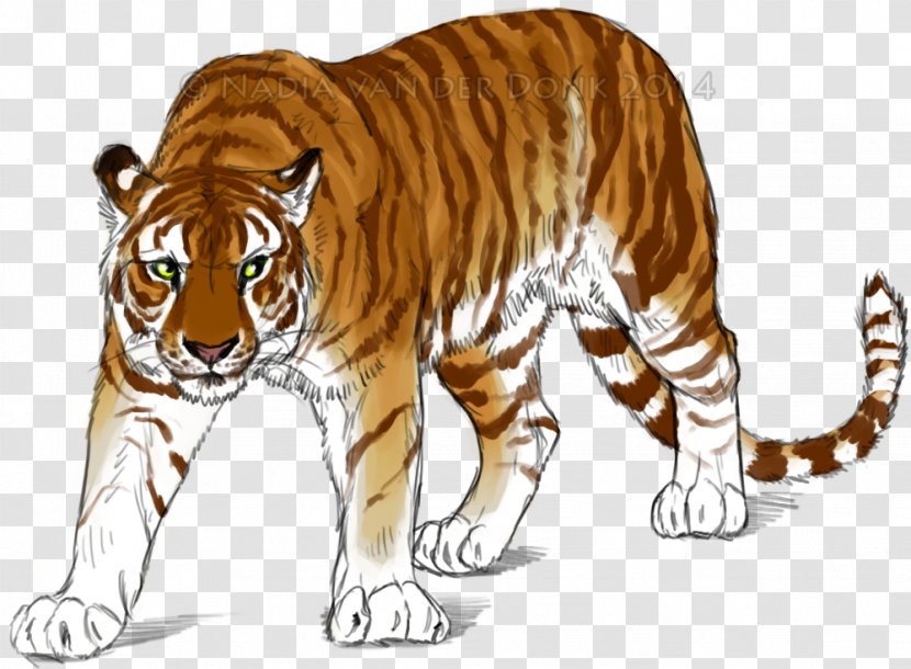 Golden Tiger Cat Lion Drawing Siberian Transparent PNG