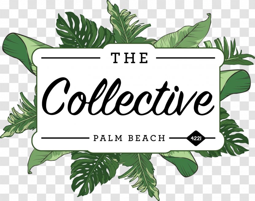The Collective Palm Beach Food Restaurant Pier Marina Mirage - Fruit Transparent PNG
