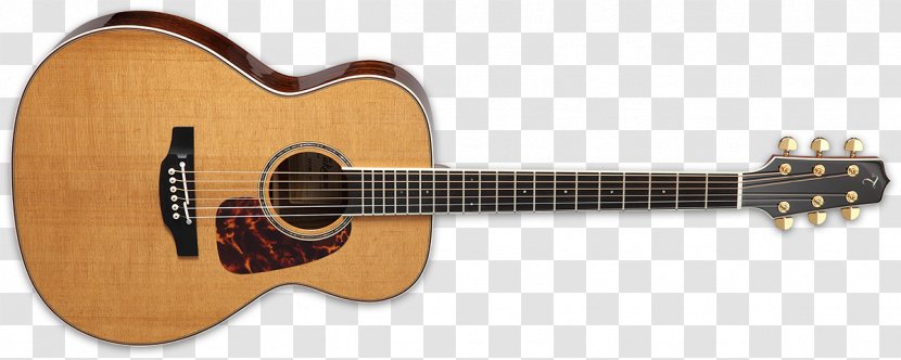 Acoustic-electric Guitar Acoustic Dreadnought Takamine Guitars - Tree - Case Transparent PNG