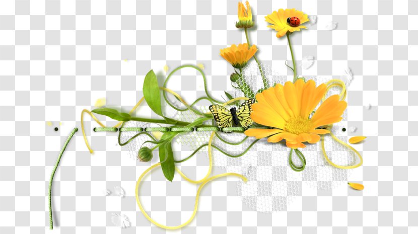 Flower Photography Clip Art - Floristry Transparent PNG