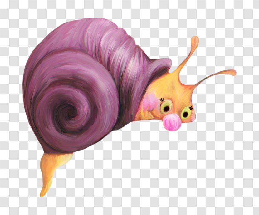 Sea Snail Snails And Slugs Purple Animation Transparent PNG