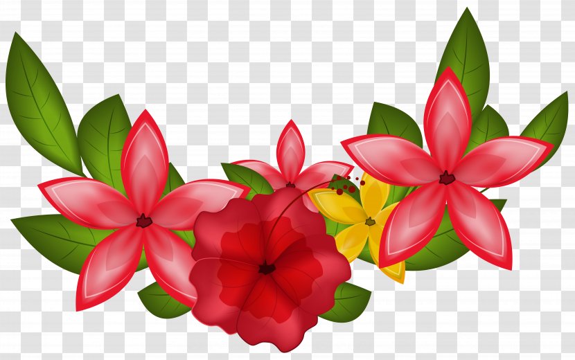 Flower Clip Art - Plant - Floral Transparent PNG