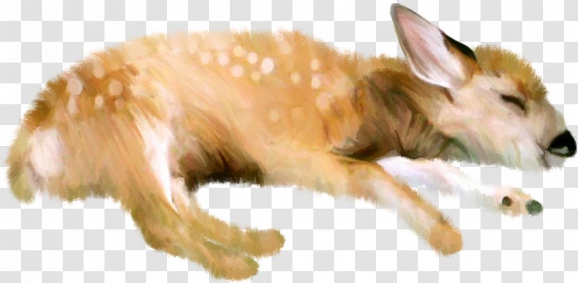 Dog Deer Clip Art - Picture Frame Transparent PNG