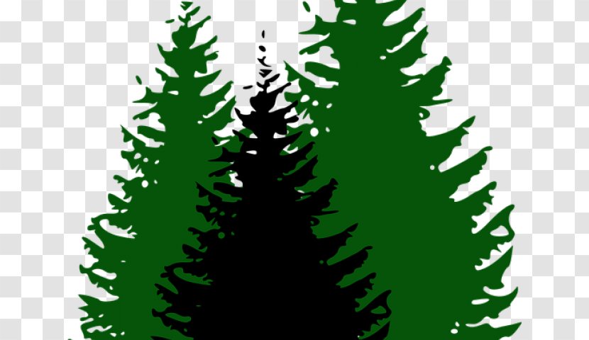 Christmas Tree Silhouette - Yellow Fir - Forest Interior Design Transparent PNG