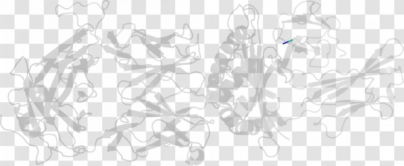 Line Art White Point Angle Sketch - Branch Transparent PNG