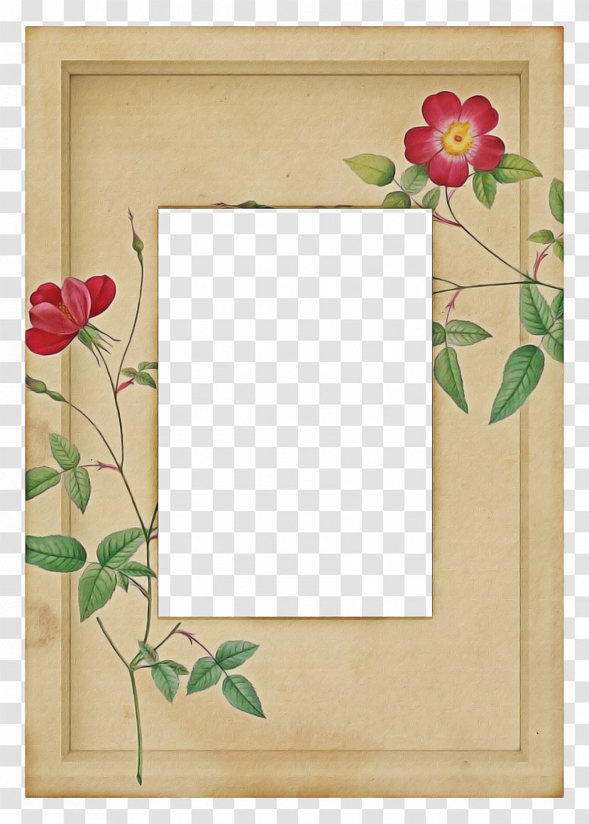 Background Flower Frame - Petal - Wildflower Interior Design Transparent PNG