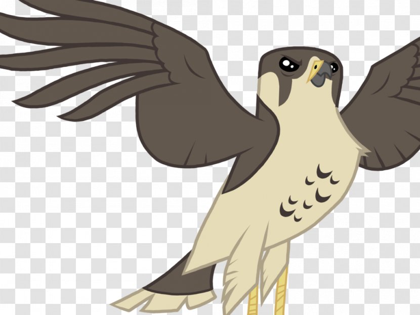 Falcon Hawk Rainbow Dash Pony - My Little - Vector Transparent PNG