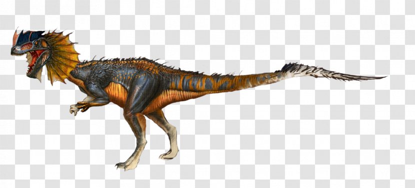 Dilophosaurus ARK: Survival Evolved Giganotosaurus Tyrannosaurus Anchisaurus - Stegosaurus - Dinosaur Transparent PNG