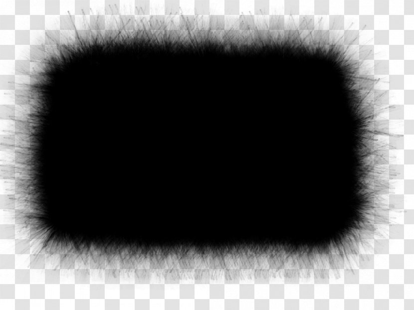 Fur Eye White Black M Transparent PNG