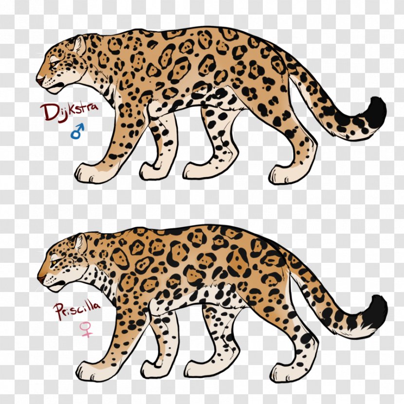 Leopard Jaguar Ocelot Cheetah Wildcat - Fauna Transparent PNG