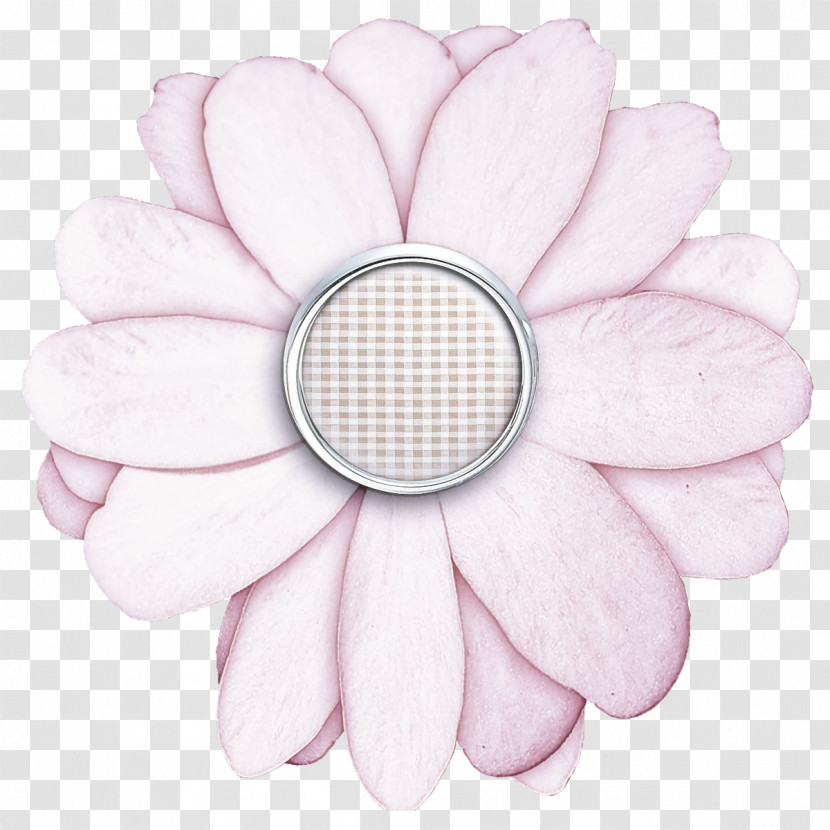 Petal White Pink Flower Plant Transparent PNG