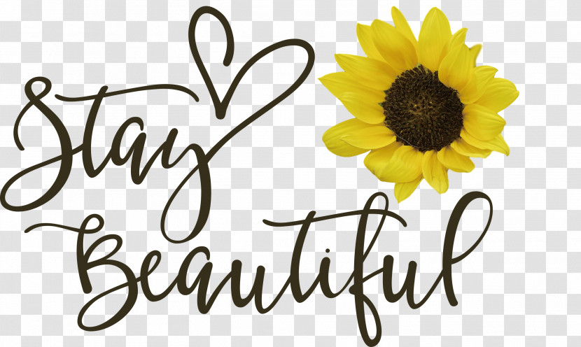 Stay Beautiful Fashion Transparent PNG