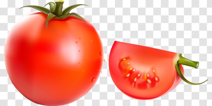 Plum Tomato Cherry Crostino Cheese Sandwich And Transparent PNG
