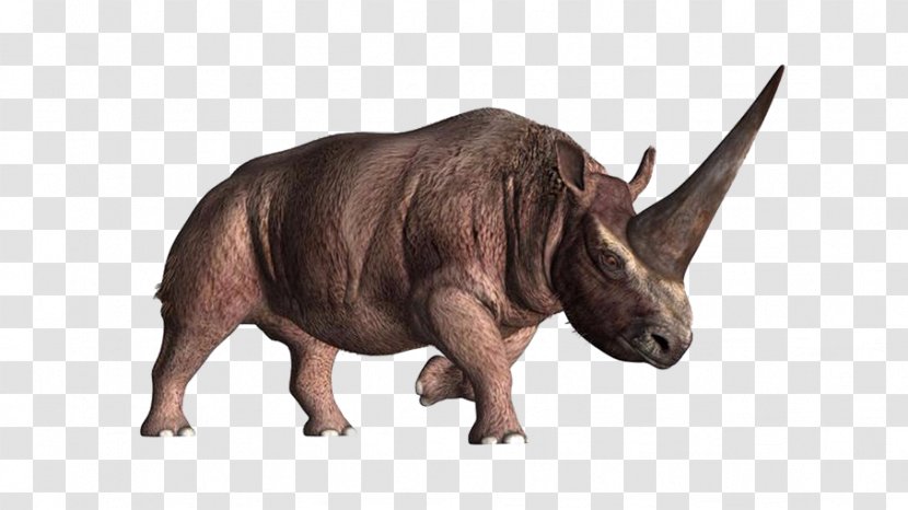 Elasmotherium Horn Unicorn Prehistory Woolly Rhinoceros - Terrestrial Animal - Rhino Creative Transparent PNG