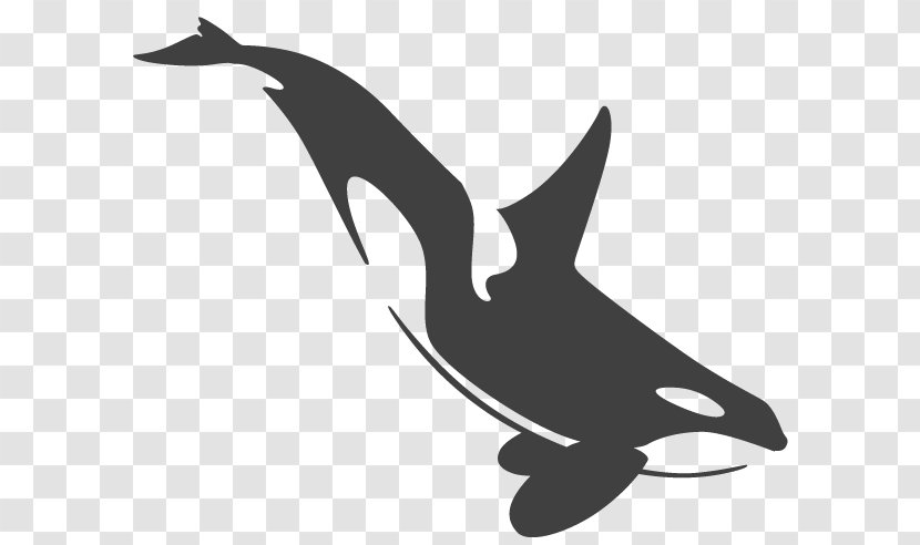 Killer Whale Cetaceans Tattoo Toothed - Whales Dolphins And Porpoises Transparent PNG