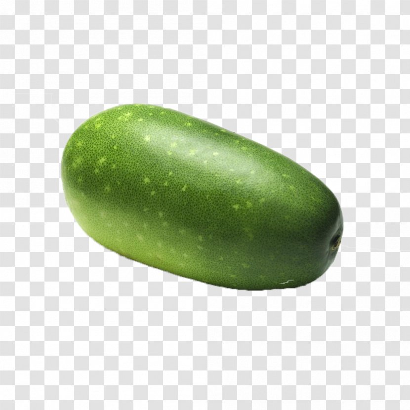 Wax Gourd Cucumber Avocado Fruit Melon - And Family - Green Transparent PNG