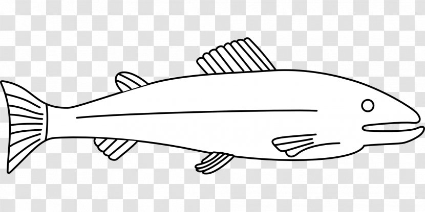 Fish Drawing Clip Art - Organism Transparent PNG