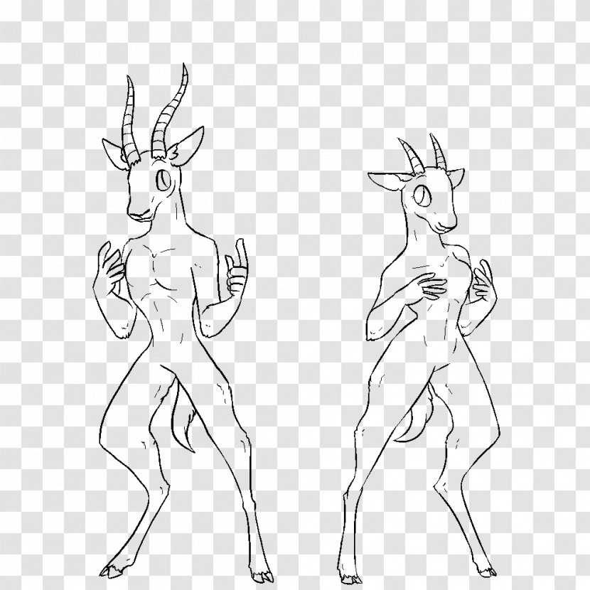 Reindeer Drawing Line Art - Joint - Gazelle Transparent PNG