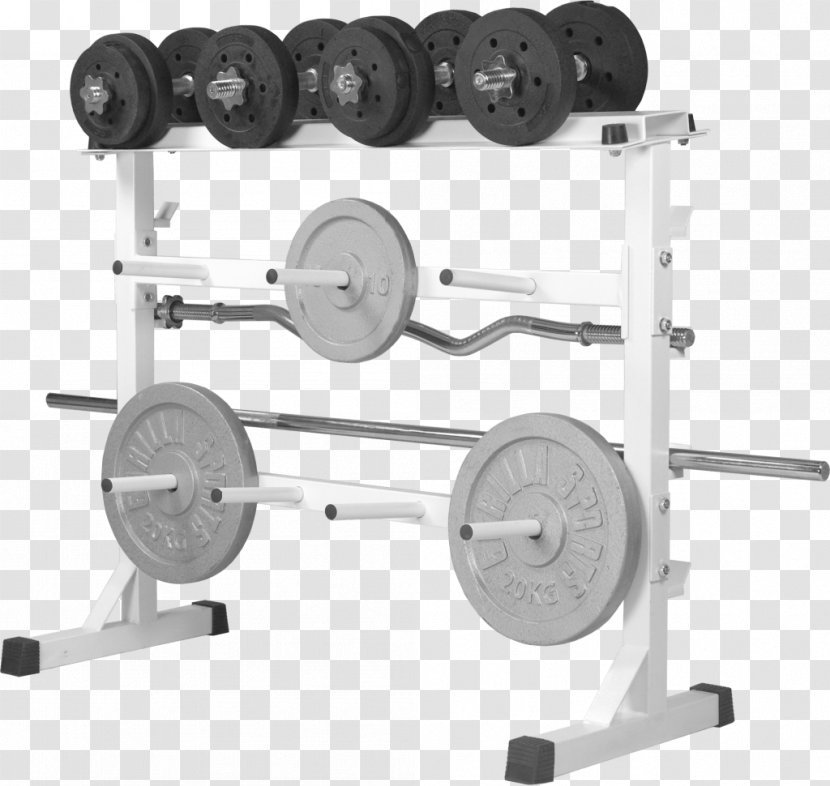 Dumbbell Weight Training Bench Fitness Centre Transparent PNG