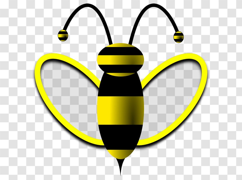 Western Honey Bee Hornet Drone Image - Insect Transparent PNG