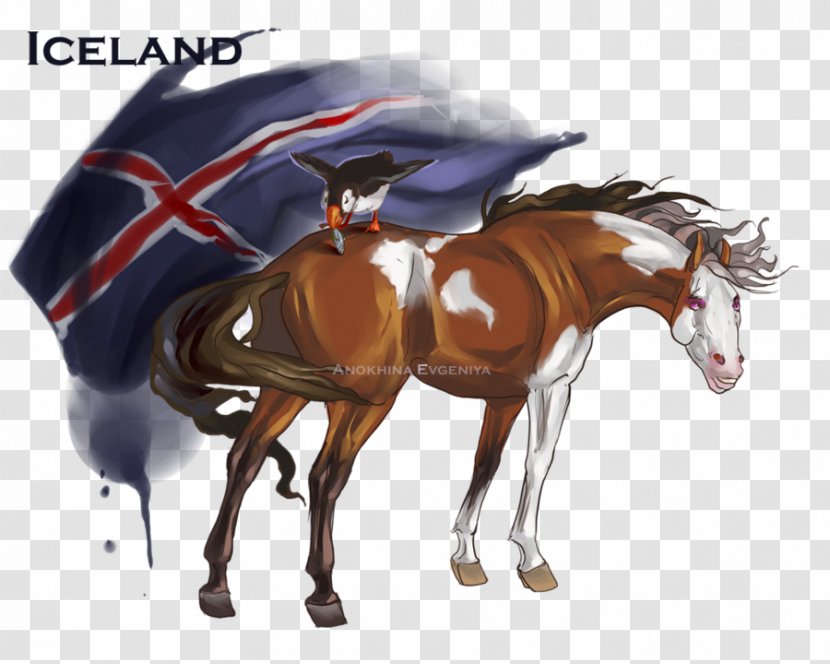 Stallion Mustang Pony Icelandic Horse Hetalia: Axis Powers - Livestock - Paintings Transparent PNG