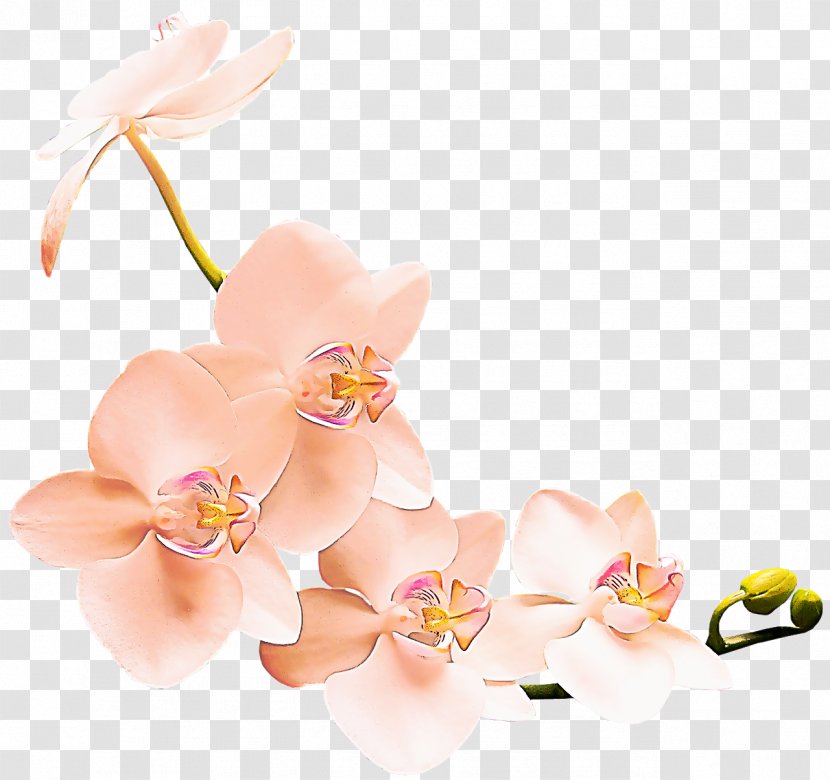 Artificial Flower - Pink - Flowering Plant Transparent PNG