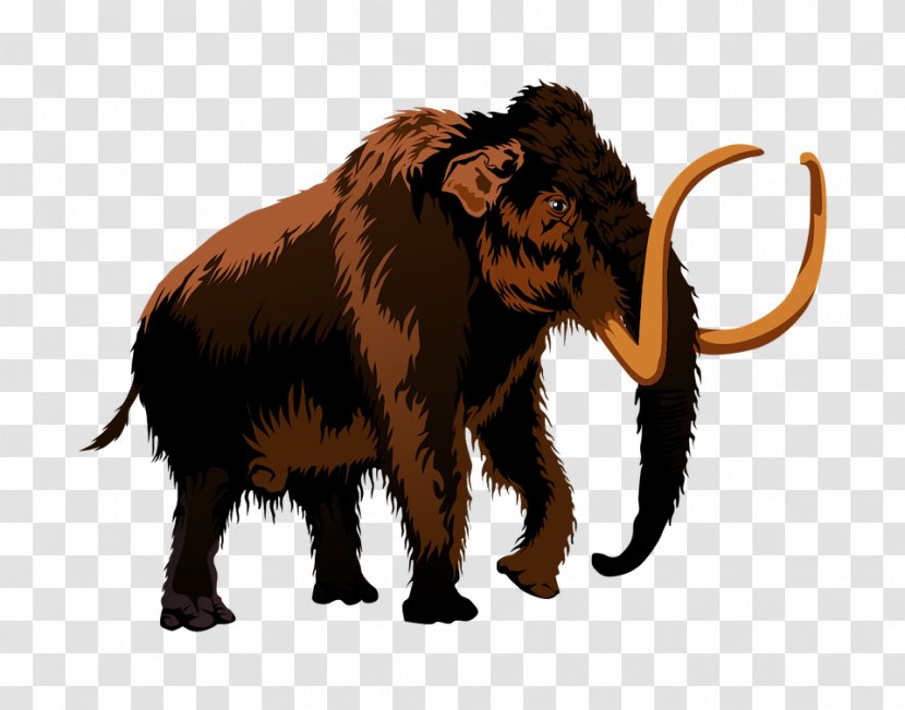 African Elephant Indian Woolly Mammoth Clip Art - Animal Figure Transparent PNG
