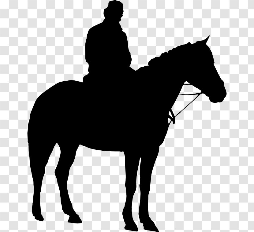 American Quarter Horse Equestrian Silhouette Clip Art - Western Pleasure - Riding Transparent PNG