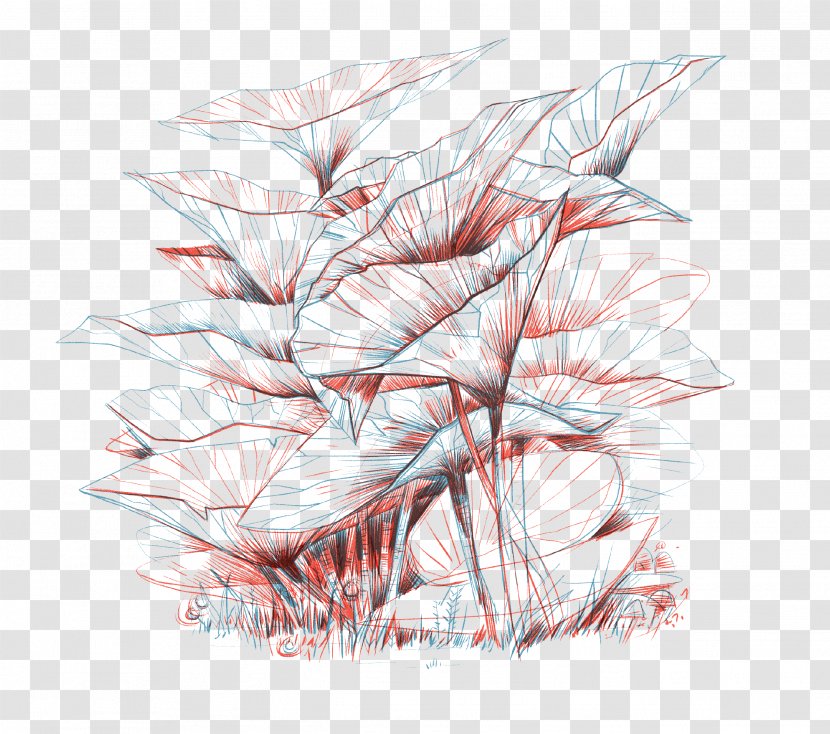 Flower Line Art - Web Design - Anthurium Muscle Transparent PNG